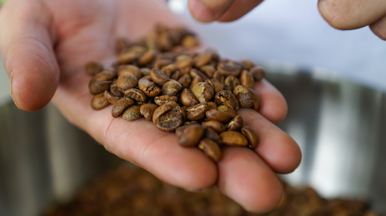 Coffee beans in hand