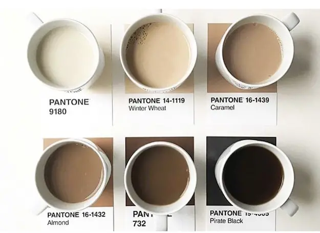 LOS COLORES DEL CAFÉ