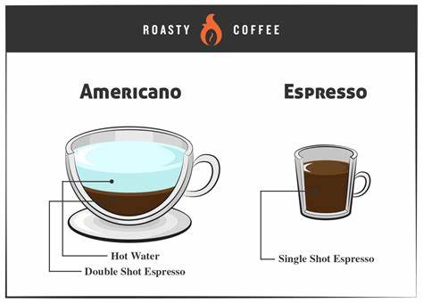 Difference Between Brewed Coffee And Americano: Unveiling The Coffee ...